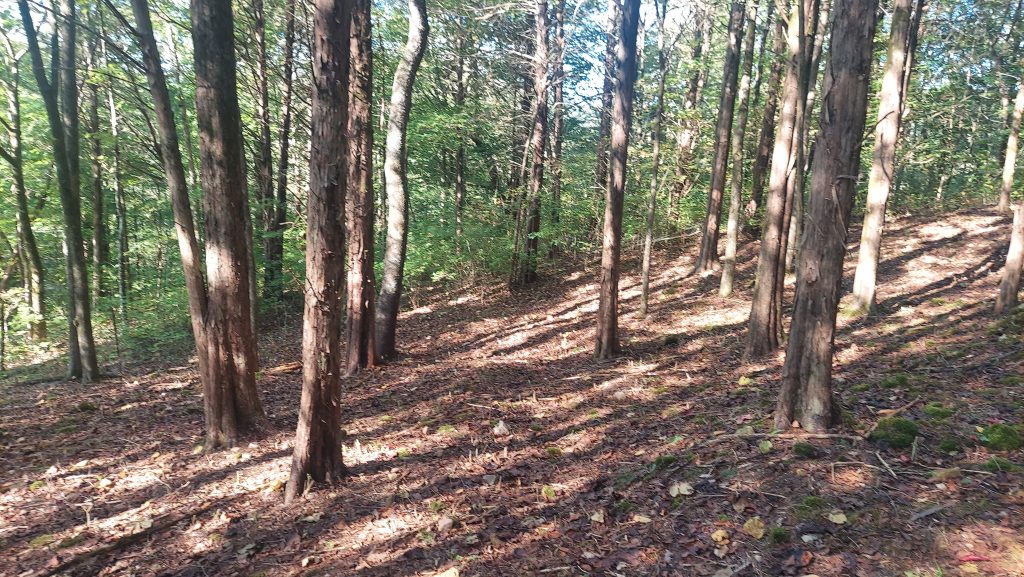 9157 Hwy 100 • Nashville TN 37221